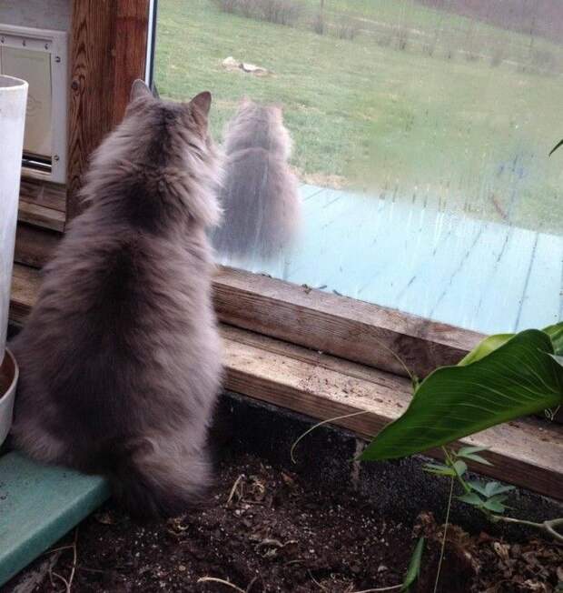 Copy + Past или сбой в матрице Copy Past или сбой в матрице