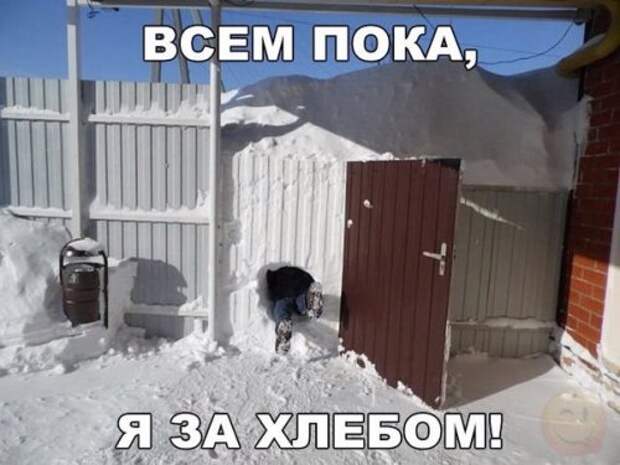 1452759455_anekdoty