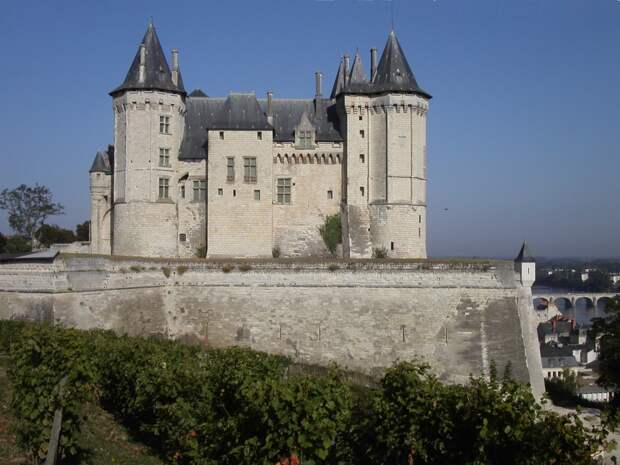 http://upload.wikimedia.org/wikipedia/commons/a/a6/Chateau_de_saumur.jpg