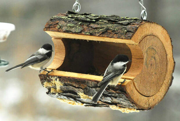 Небольшая кормушка для птиц в деревянном срубе.