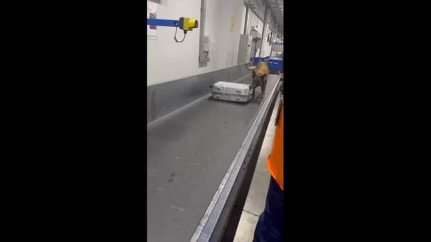 Video: Клип @donetskdnr_vk