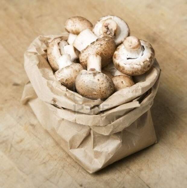 Грибы