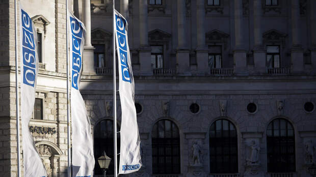 Полянский: РФ установила уважительный контакт с недружественными странами в ОБСЕ