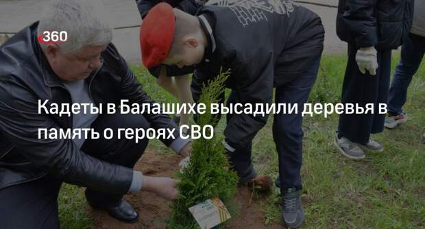 Кадеты в Балашихе высадили деревья в память о героях СВО