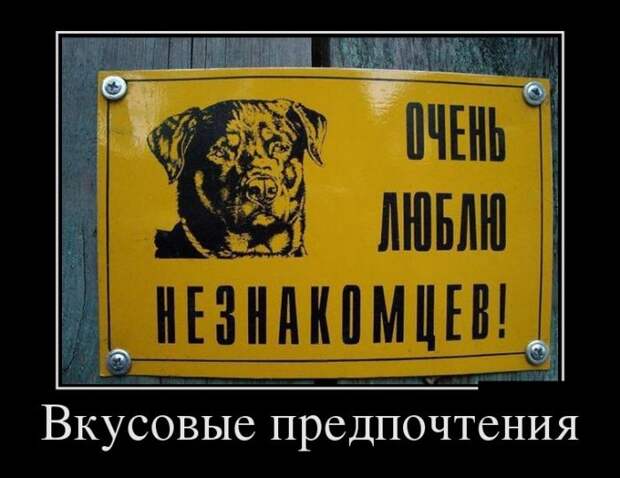 Демотиваторы (30 фото)
