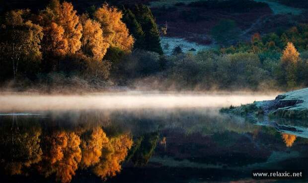 nature_002