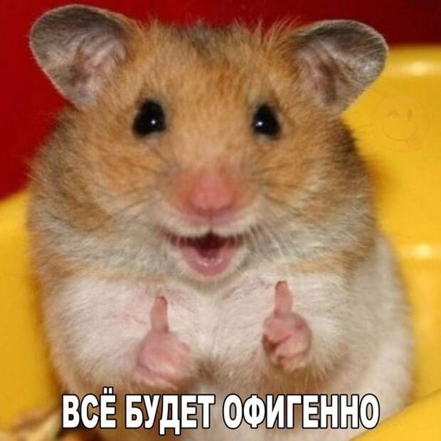 Островок позитива к Новому году картинки, новый год, позитив