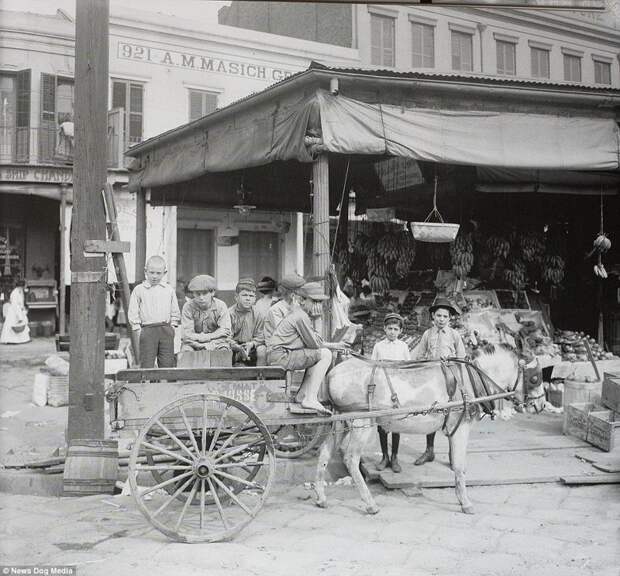 Дети продают фрукты и молоко на Французском рынке, 1910 год америка, исторические кадры, история, люди, новый орлеан, редкие фото, сша, фото