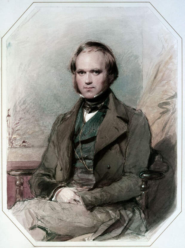Чарлз Дарвин периода кругосветного путешествия, 1830-е годы. | Фото: ru.wikipedia.org.
