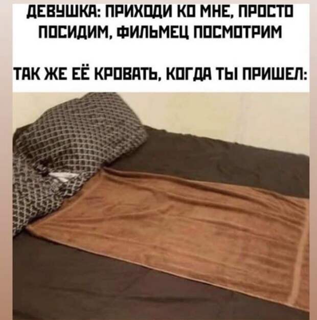 Шутки и мемы из Сети