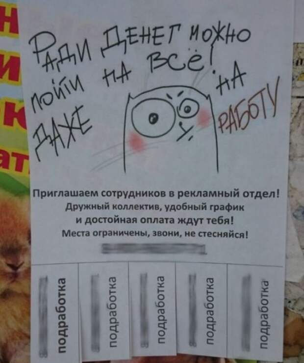 Самые смешные объявления!