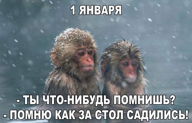 Картинки с надписями мем, прикол, юмор