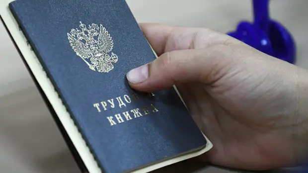 Профессор Сафонов рассказал, как обезопасить себя при трудоустройстве