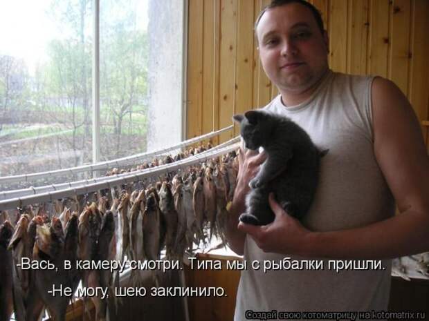 Лучшие котоматрицы недели