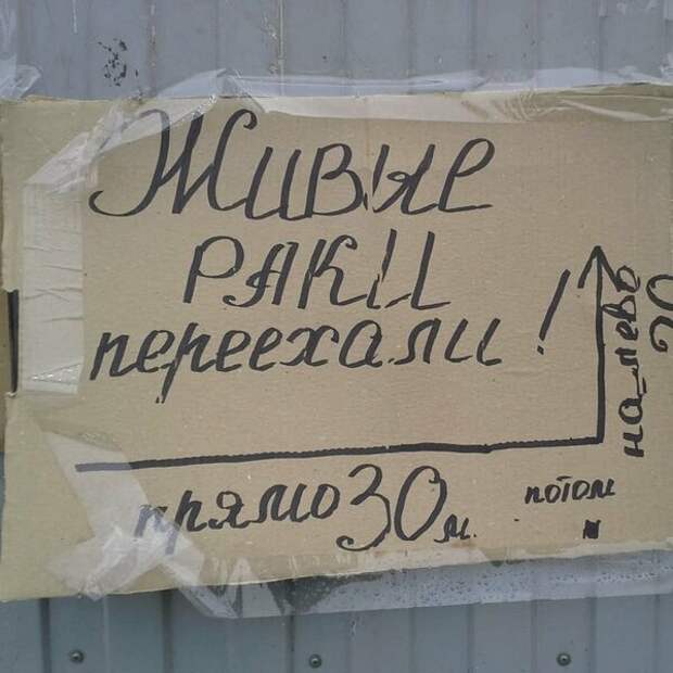 35 смешных объявлений, которые можно увидеть только на рынках креатив, надписи, объявление, прикол, рынок, умора, юмор