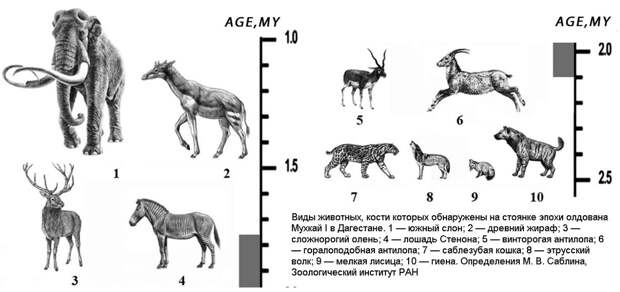 Источник: https://elementy.ru/nauchno-populyarnaya_biblioteka/434700/Kavkaz_ros_na_glazakh_pervobytnogo_cheloveka?story=73