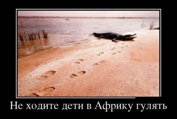 Свежие демотиваторы для улыбки и хорошего настроения (11 фото) Свежие демотиваторы для улыбки и хорошего настроения (11 фото)