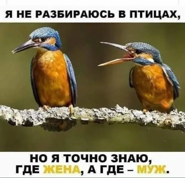 Уроки онлайн напоминают спиритический сеанс: - Маша, ты с нами? - Маша, ответь, если ты нас слышишь Вовочка, англичанину, говорит, этого, жизнь, можно, англичанин, пожалуйста, Мадонну, очень, Директор, привет, человек, ничего, вообще, песню, Привет, люблю, наливают, предлагают