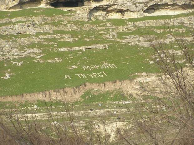 Приколы