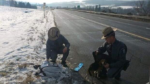 Полиция на дороге
