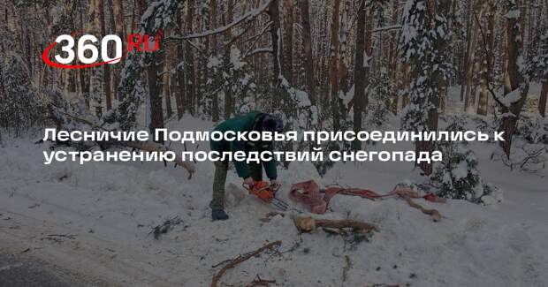 Лесничие Подмосковья присоединились к устранению последствий снегопада
