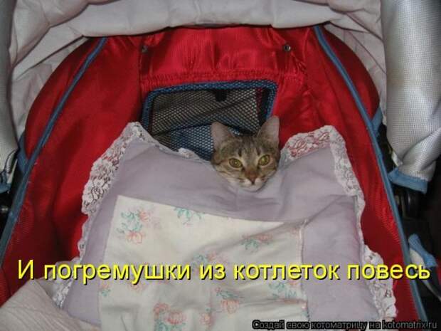 Кошатина да псятинка позитивная, этакая забавная, с надписями, очень много на выходные