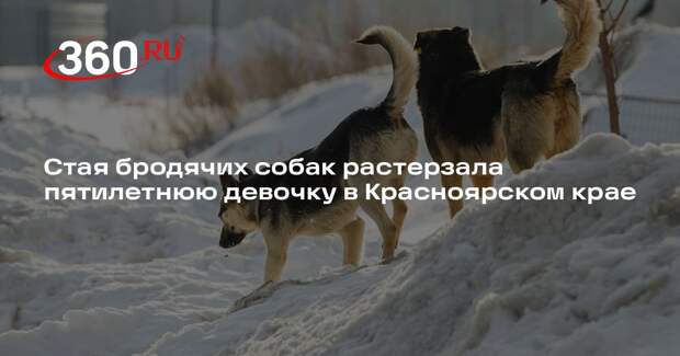 Стая бродячих собак растерзала пятилетнюю девочку в Красноярском крае