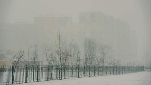 В Петербурге объявили «жёлтый» уровень опасности из-за порывистого ветра и снегопадов