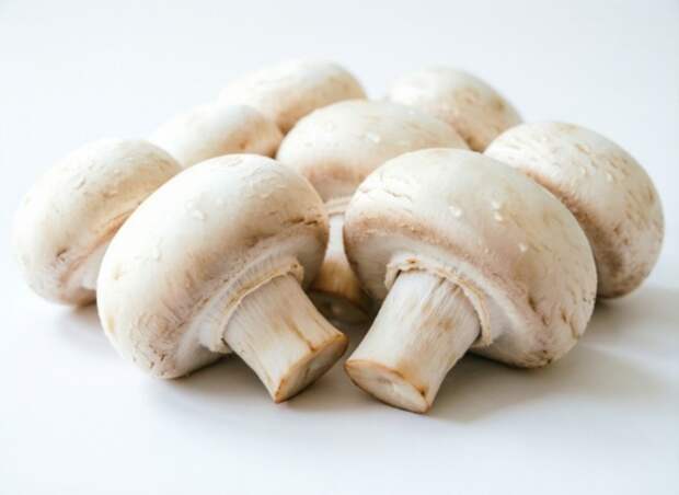 Россия обновила рекорд экспорта шампиньонов в 2025 году, отправив 9,4 тыс тонн