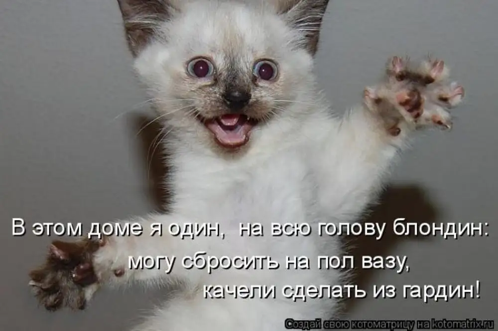 Ура На Работу Картинки Смешные