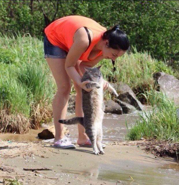 30 веселых фотографий с животными 30 веселых фотографий с животными