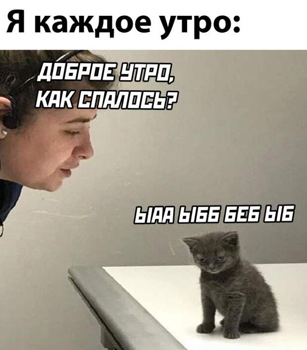 Смешные картинки 14 декабря 2021 года