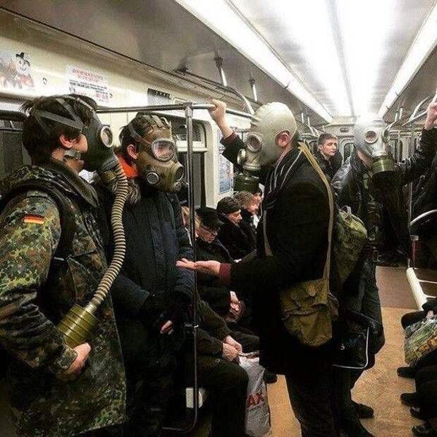 Прикольные картинки. Дневной выпуск  история, прикол, юмор