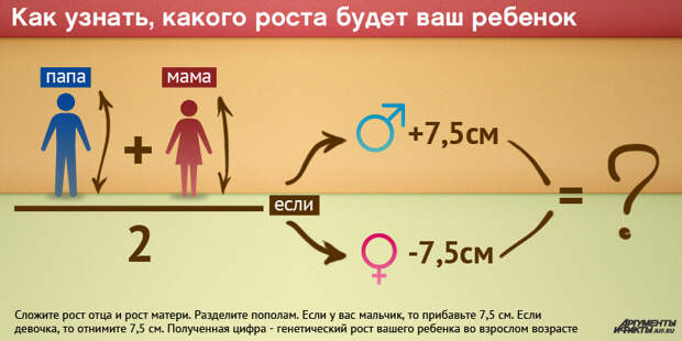 На рисунке изображены мама и дочка рост мамы 170 см определи примерный рост дочки