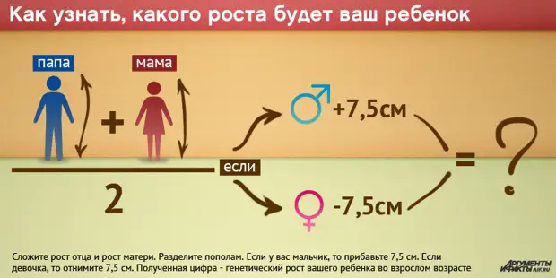 На рисунке папа и сын рост сына 120 см каков примерный рост папы