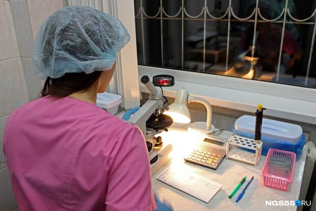 В Омске зафиксировали первый в этом году случай заражения туляремией