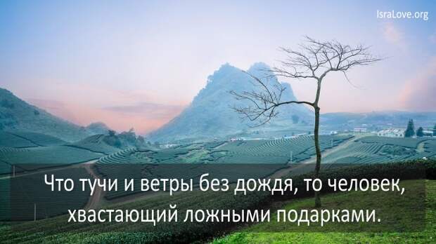 25 наимудрейших цитат царя Соломона