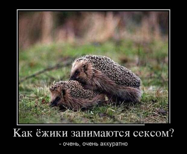 Демотиваторы (30 фото)