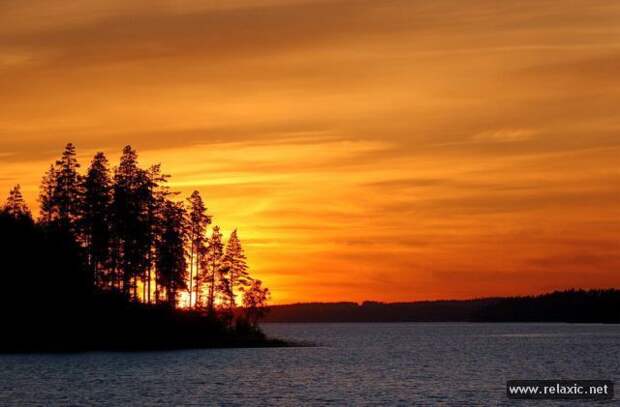 nature_032