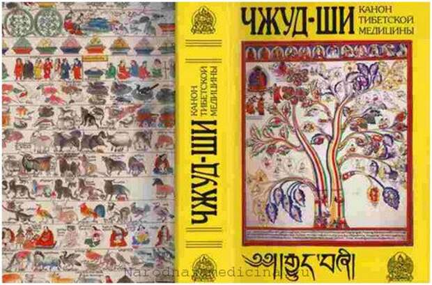 Наука тибета. Трактат Чжуд ши о тибетской медицине. Чжуд-ши канон тибетской медицины. Чжуд-ши классический трактат тибетской медицины. Тибетская медицина трактат Джуд-ши.