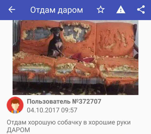 Подборка картинок. Дневной выпуск (50 фото)