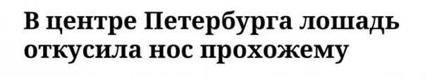 Забавные заголовки, которые описывают состояние современных СМИ