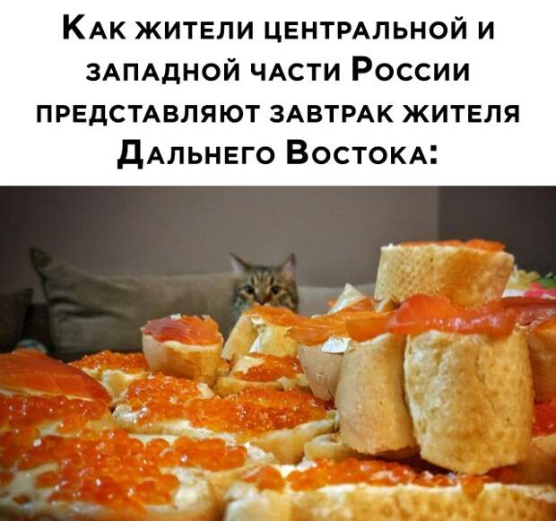 Прикольные картинки и фото (41 шт)