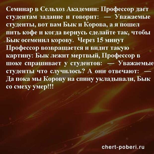 Самые смешные анекдоты ежедневная подборка chert-poberi-anekdoty-chert-poberi-anekdoty-11290623082020-9 картинка chert-poberi-anekdoty-11290623082020-9