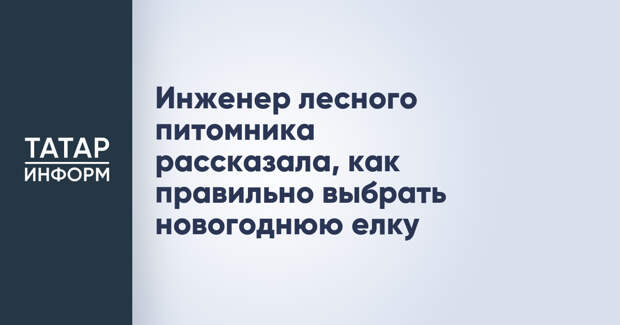 Инженер лесного питомника рассказала, как правильно выбрать новогоднюю елку
