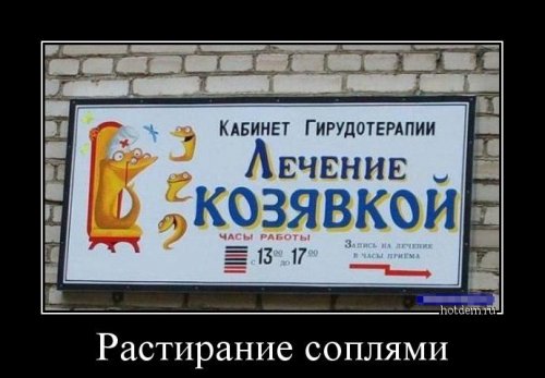 Демотиваторы-приколы для настроения (13 шт)