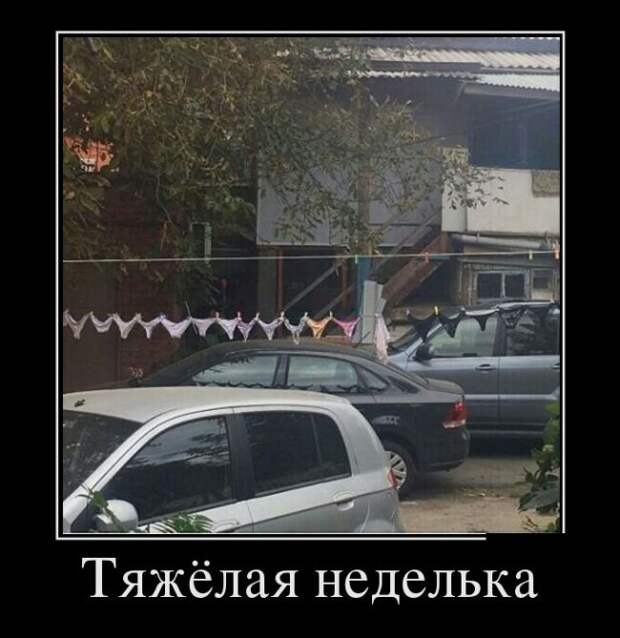 Демотиваторы (30 фото)
