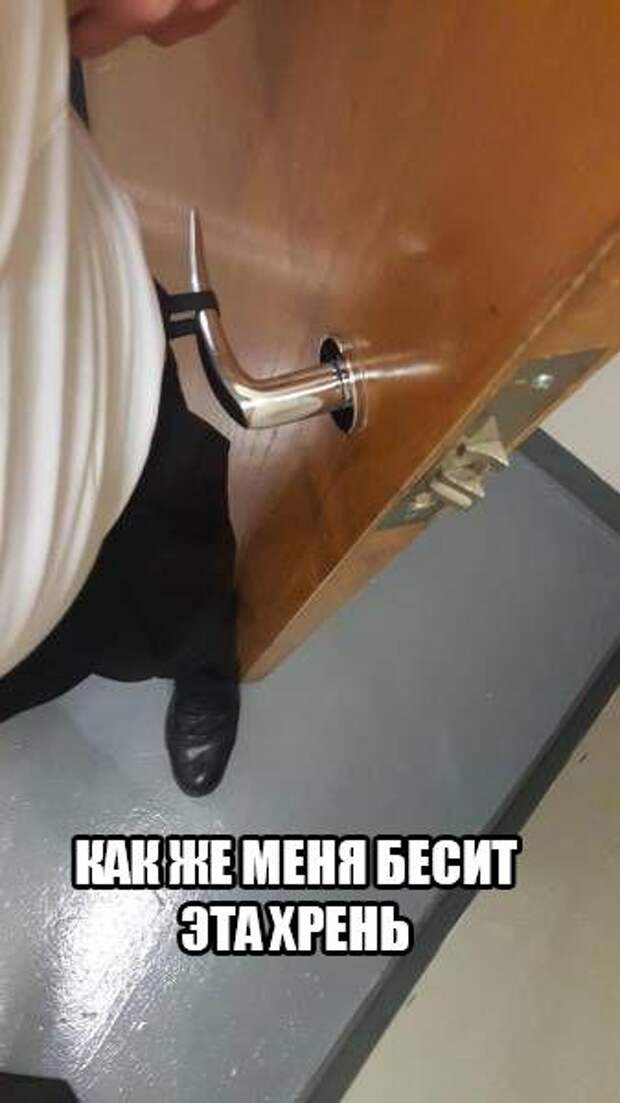 Смешные картинки с надписями