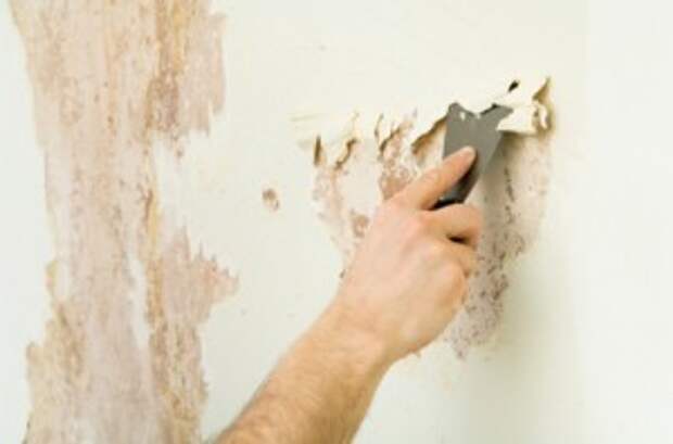 как удалить старую краску со стен