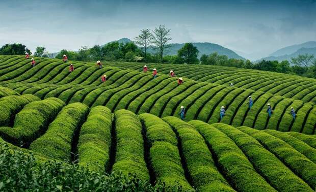 siena-international-photo-awards-travel-winners-2016-4-58173e2385f36__880